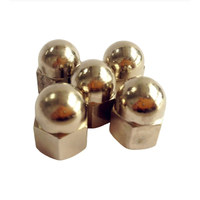 Aes Alloy Hot Forging Nut with Nickel Plating for Wheels Use
